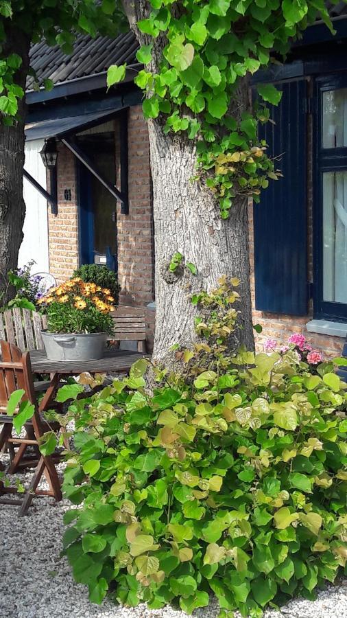 Huis De Roos De Kwakel エクステリア 写真